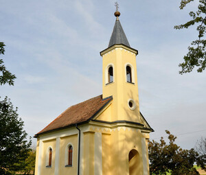 Katolikus egyház Katolikus egyház